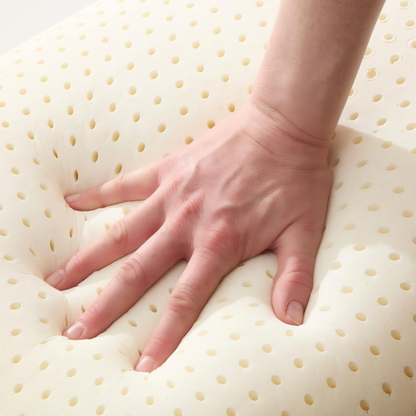 2 X 100% Natural Talalay Latex Pillows